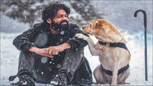 777 Charlie OTT Release Date and Time Is Out!