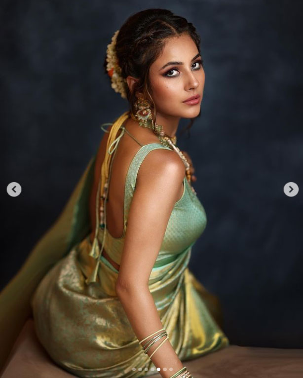 Shehnaaz Gill in stylish blouse