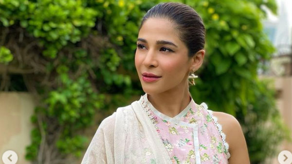 Ayesha Omar Television Journey