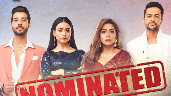 Bigg Boss 16 Elimination Verdict Bigg Boss 16 Elimination Verdict