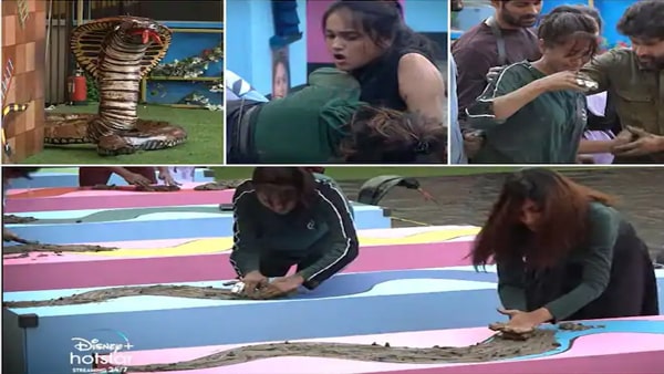 Bigg Boss 6 Telugu Promo Bigg Boss 6 Telugu Promo