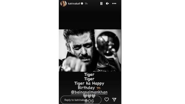 Katrina Kaif Wishes ‘TIGER’ Salman Khan On His B’Day In A Unique Way, See Post