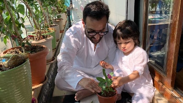 Gardening Lessons Gardening Lessons