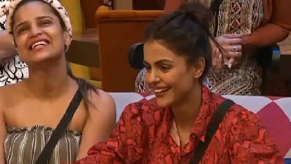 Bigg Boss 16: Shiv Thakare's HISTORY With Priyanka, Archana