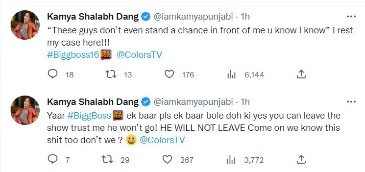 Kamya Panjabi Says Shalin Bhanot Will Not Leave Show