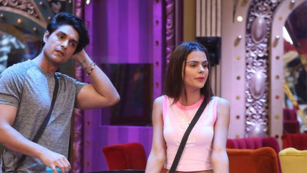 Did Ankit Gupta's Eviction Affect Bigg Boss 16 TRPs?