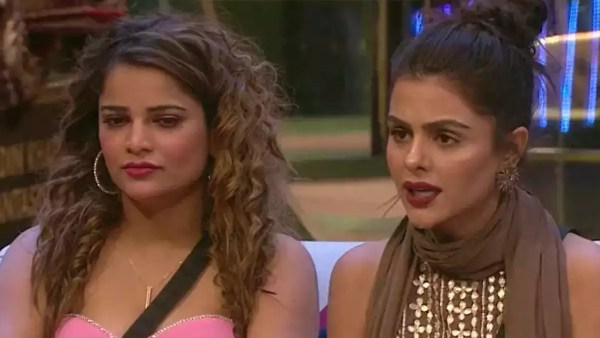 Educational Qualifications Of Bigg Boss 16 Archana Gautam Educational Qualifications Of Bigg Boss 16 Archana Gautam