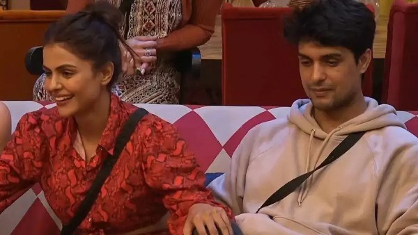 Was Ankit Gupta A Disadvantage To Priyanka Choudhary?