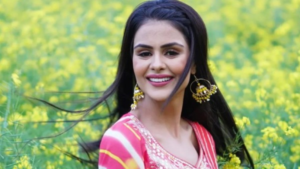 Priyanka Chahar Choudhary Has Multiple Offers In Her Kitty Priyanka Chahar Choudhary Has Multiple Offers In Her Kitty