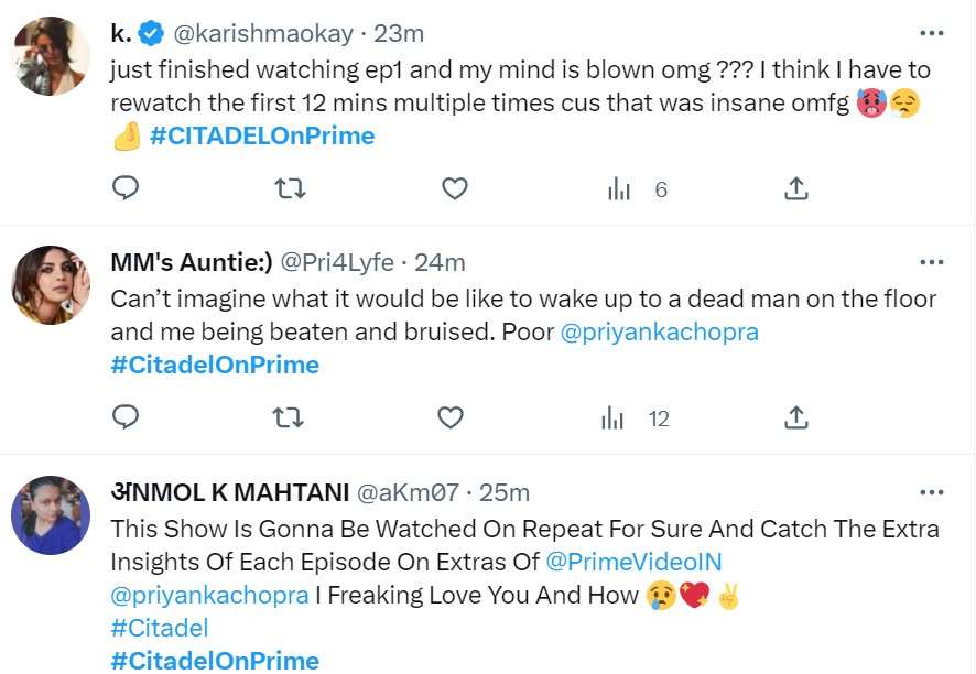 Citadel Twitter Review Priyanka Chopra Richard Madden