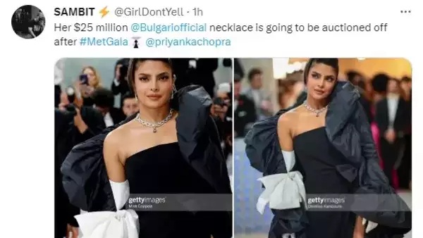 Met Gala 2023: Priyanka Chopra Wore Diamond Necklace, Worth 25 Million Dollars