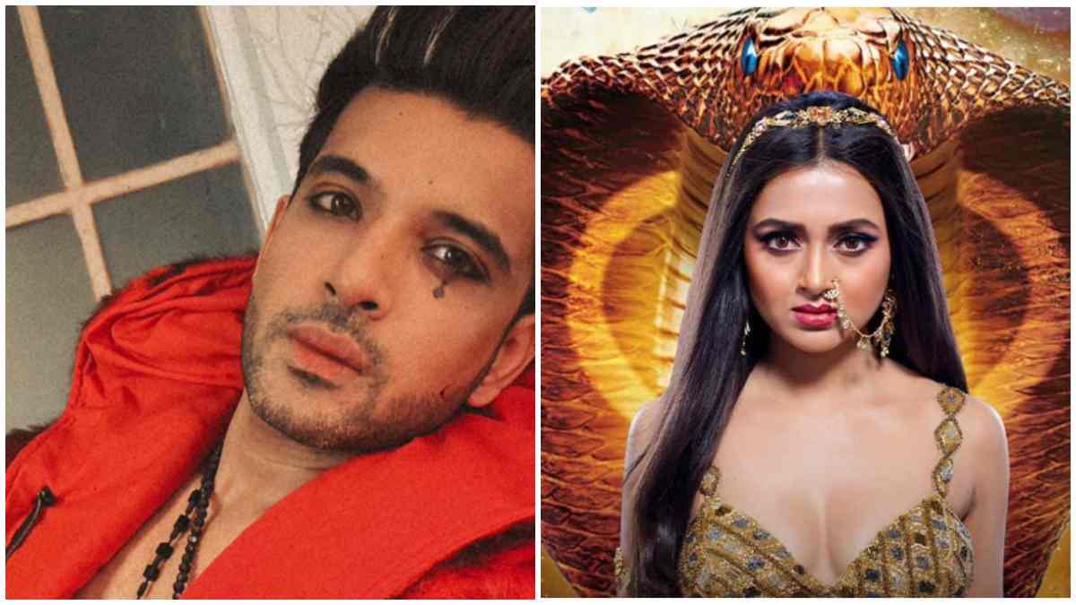 Karan Kundrra Naagin 6 And Tere Ishq Mein Ghayal Crossover Karan Kundrra Naagin 6 And Tere Ishq Mein Ghayal Crossover