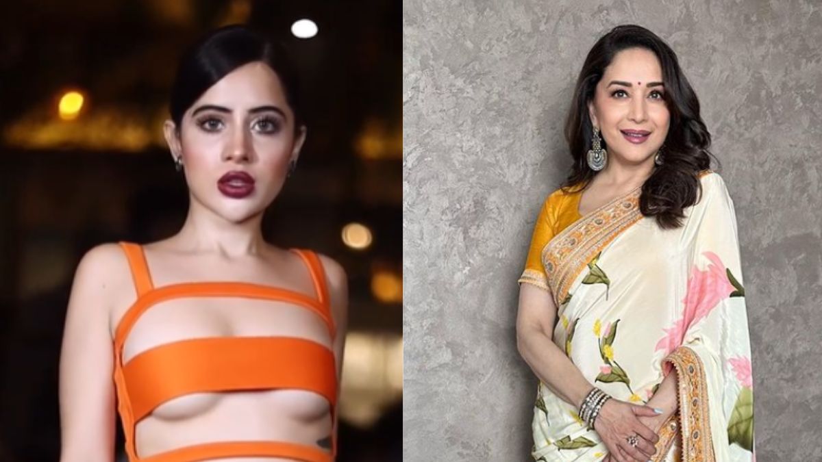 Uorfi Javed Madhuri Dixit Controversy Uorfi Javed Madhuri Dixit Controversy