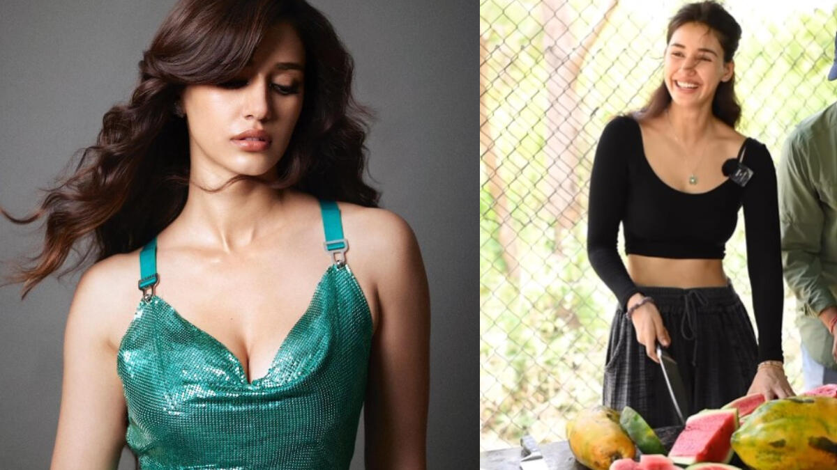 Disha Patani Makes A Smoothie For Elephants; Check VIDEO Disha Patani Makes A Smoothie For Elephants; Check VIDEO