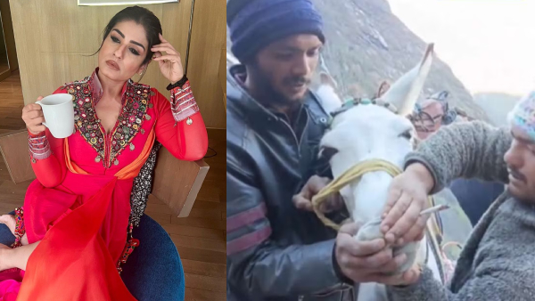 SHOCKING: Men Force Horse To Smoke On Kedarnath Trek