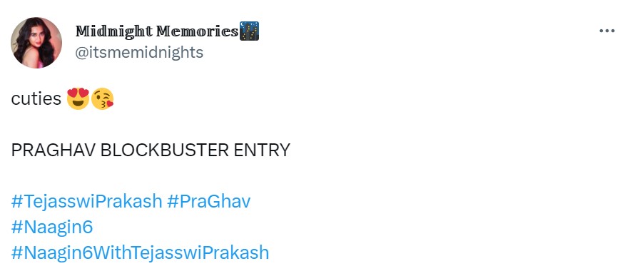 Vatsal Tejasswi Naagin 6 Reactions