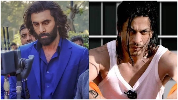 Entertainment News Live Updates Animal Ranbir Kapoor Don 3 Ranveer Singh Shah Rukh Khan