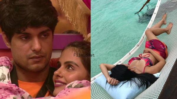 niharika chouksey, bigg boss 17, ayesha singh, bigg boss, ghum hai kisikey pyaar meiin