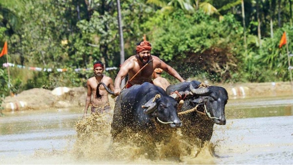 Rishab Shetty, kantara