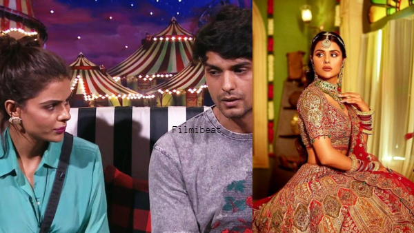 priyanka choudhary, ankit gupta, bigg boss
