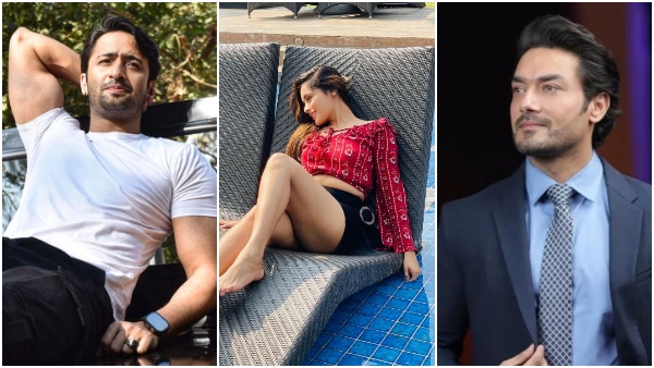 Rhea Sharma New Show Shaheer Sheikh Avinesh Rekhi