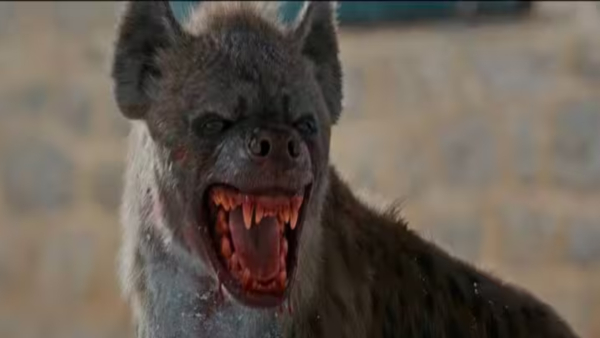 Leo trailer hidden details