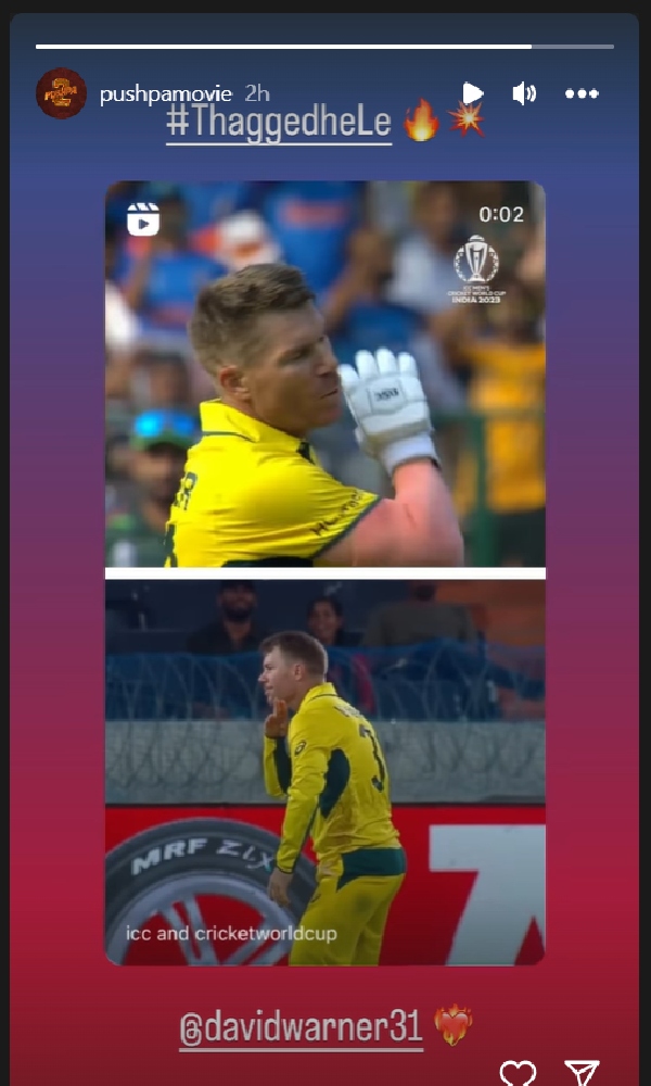 The rage of Pusharaj continues! Australian Cricketer David Warner ...
