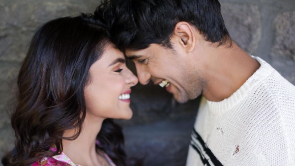 Bigg Boss 17 Priyanka Chahar Choudhary Ankit Gupta Mentors