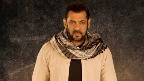 Tiger 3 Box Office Collection Day 11 Prediction Tiger 3 Box Office Collection Day 11 Prediction