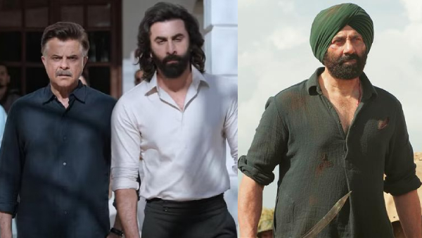 Animal Box Office Day 20 Prediction