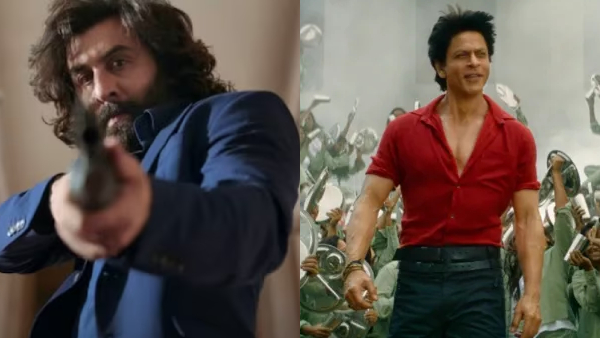 Animal Box Office Day 1: Ranbir Gets His Biggest Opener