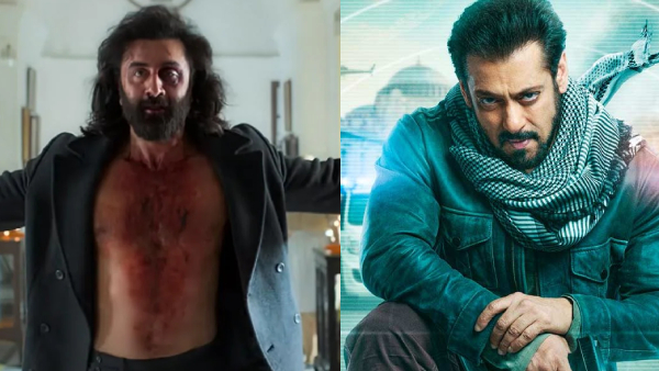 Animal Crosses Tiger 3 Lifetime Collection 