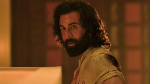 Animal Day 12 Advance Booking Report