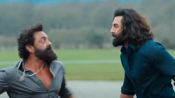 Animal Box Office Day 14 Prediction