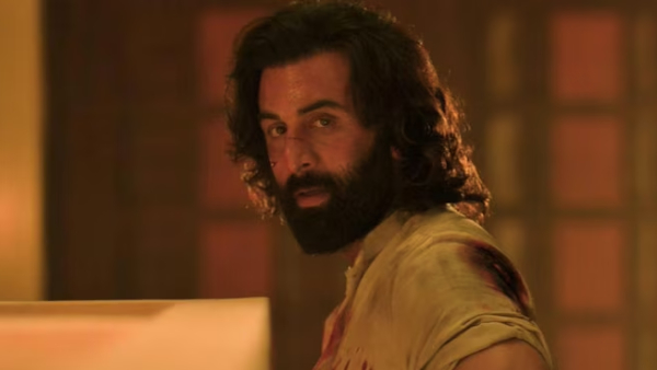 Animal Box Office Day 17 Prediction