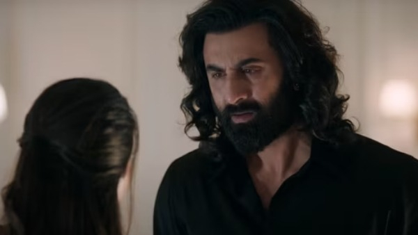 Animal Box Office Day 18 Prediction