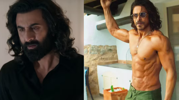 Animal Box Office Collection Day 1 Prediction Animal Box Office Collection Day 1 Prediction