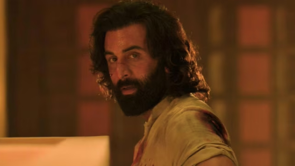 Animal Box Office Collection Day 31 Animal Box Office Collection Day 31