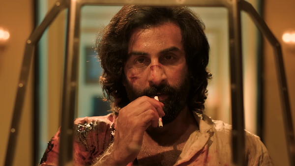 Animal Box Office Day 3 Prediction