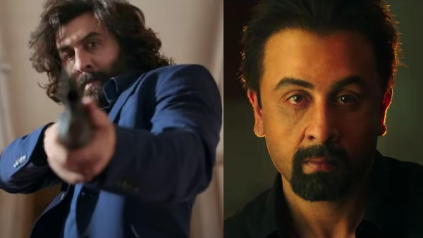 Animal Box Office Day 8 Prediction