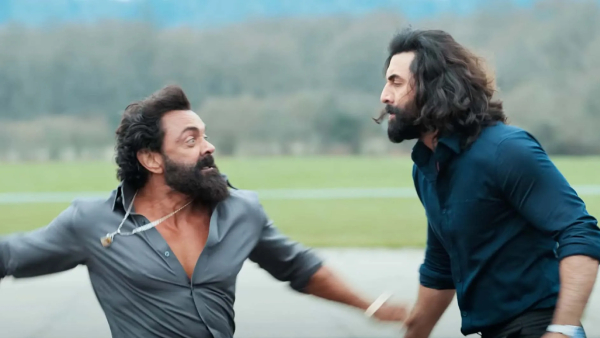 Animal Box Office Day 9 Prediction