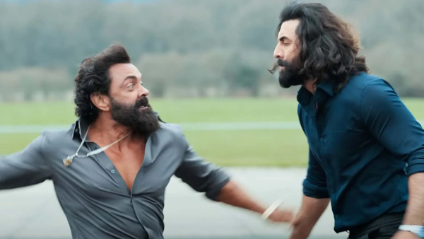 Animal Sees Over 40% Drop On First Monday Animal Sees Over 40% Drop On First Monday