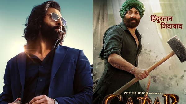 Animal Crosses 300Cr Mark On Day 6