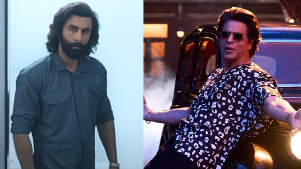 Animal vs Pathaan vs Jawan Box Office Day 11