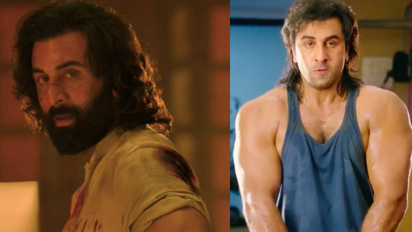 Animal Animal Box Office Day 7 PredictionBox Office Day 7 Prediction