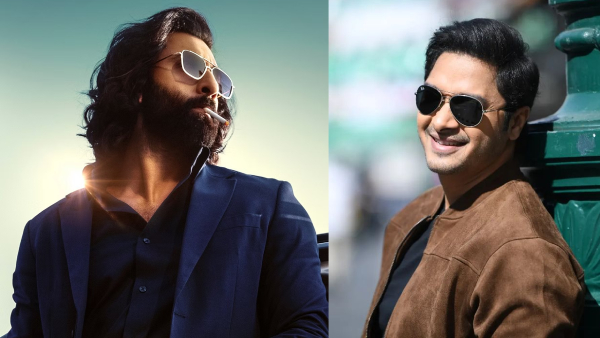 ENT LIVE Updates: Animal To Enter 500Cr Club In India