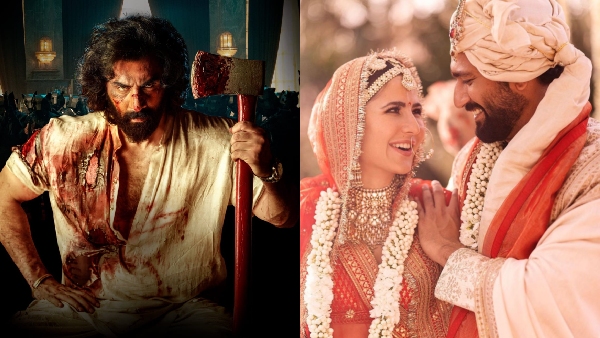 ENT LIVE UPDATES: Animal Crosses 200Cr In 3 Days