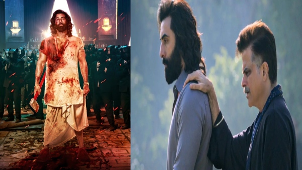 Animal Telugu Box Office Collection Day 1 Prediction