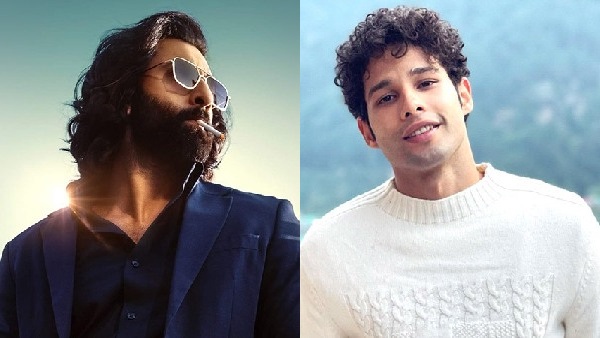 Year Ender 2023, Ranbir Kapoor, Siddhant Chaturvedi