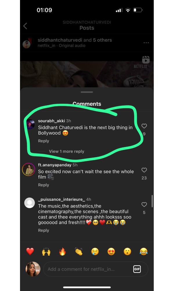 Kho Gaye Hum Kaha, Siddhant Chaturvedi